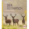 Der Rothirsch - Tobias Böckermann, Willi Rolfes, Jürgen Borris