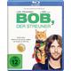 Bob, der Streuner (Blu-ray Disc) - Concorde Home Entertainment