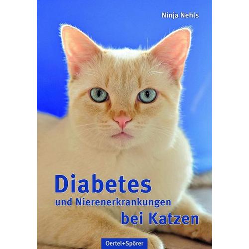 Diabetes und Nierenerkrankungen bei Katzen – Ninja Nehls