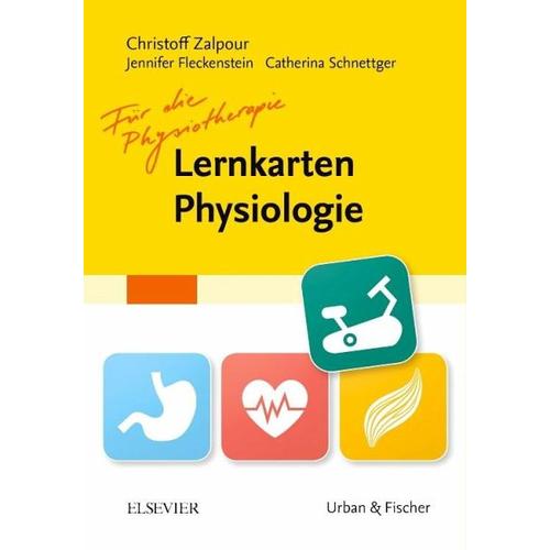 Lernkarten Physiologie für die Physiotherapie