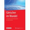 Gletscher im Wandel - Andrea Fischer, Gernot Patzelt, Martin Achrainer