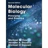 Molecular Biology - Michael M. Cox, Michael O'Donnell
