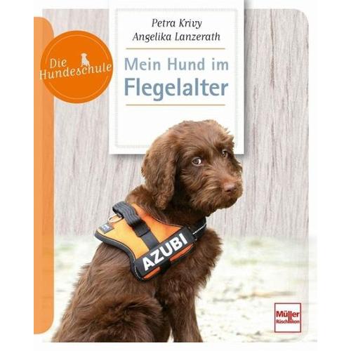 Mein Hund im Flegelalter – Petra Krivy, Angelika Lanzerath