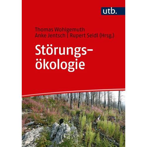 Störungsökologie – Thomas Herausgegeben:Wohlgemuth, Anke Jentsch, Rupert Seidl