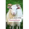 Hammeltanz / Kommissare Lisa Luft und Heiko Wüst Bd.7 - Wildis Streng