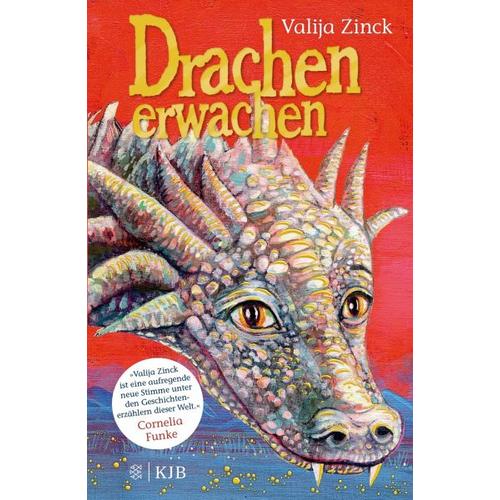 Drachenerwachen / Drachen Bd.1 - Valija Zinck