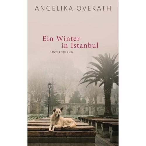 Ein Winter in Istanbul – Angelika Overath