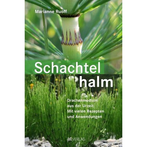 Schachtelhalm – Marianne Ruoff