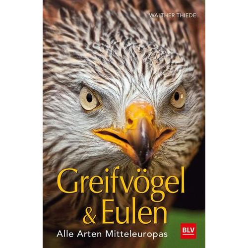 BLV Greifvögel & Eulen - Walther Thiede