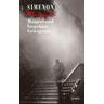 Maigret und Inspektor Griesgram / Kommissar Maigret Bd.101 - Georges Simenon