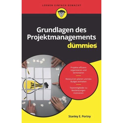 Grundlagen des Projektmanagements für Dummies – Stanley E. Portny