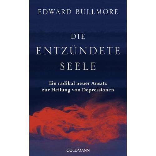 Die entzündete Seele – Edward Bullmore