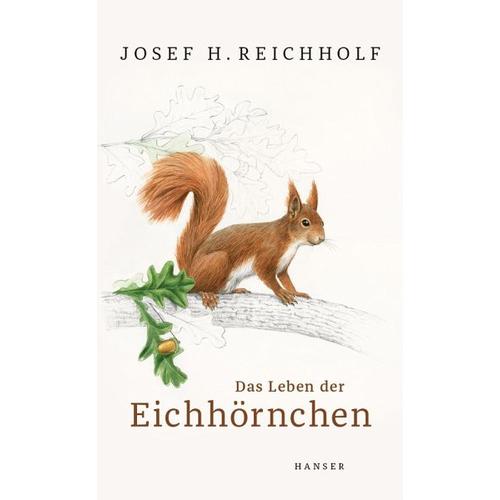 Das Leben der Eichhörnchen - Josef H. Reichholf