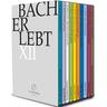 Bach Erlebt Xii (DVD) - J.S. Bach-Stiftung