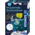 Fun Science Wuselnde Salzkrebse (Experimentierkasten) - Kosmos Spiele