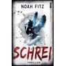 Schrei - Noah Fitz