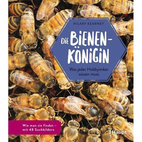 Die Bienenkönigin - Hilary Kearney