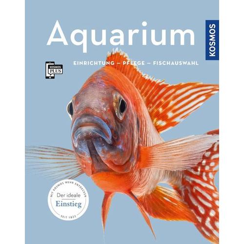 Aquarium – Angela Beck