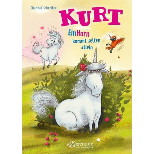 EinHorn kommt selten allein / Kurt Einhorn Bd.2 – Chantal Schreiber