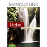 Liebe endet nie - Manolo Link