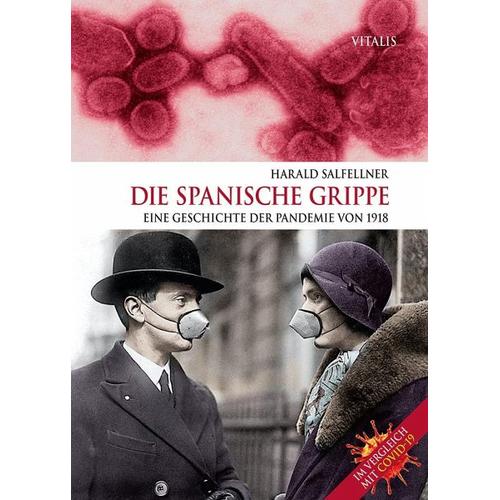 Die Spanische Grippe – Harald Salfellner