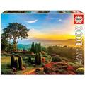 Carletto 9217968 - Educa, Beautiful Garden, Puzzle, 1000 Teile - Carletto Deutschland / Educa Puzzle