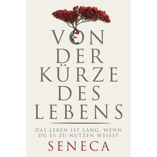 Von der Kürze des Lebens – der Jüngere Seneca