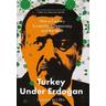 Turkey Under Erdogan - Dimitar Bechev