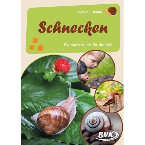 Schnecken