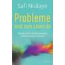 Probleme sind zum Lösen da - Safi Nidiaye