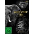 Majestätische Tiere (DVD) - Spirit Media