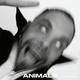 Animals (CD, 2023) - Kassa Overall