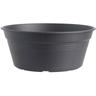 Vaso Per Bulbi Green Basics Bowl 33cm Colore A Scelta