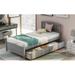 Twin Platform Storage Bed Wood Bed Frame with Two Drawers