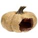 HOMEMAXS Decorative Reptile Hideout Wear-resistant Pumpkin Decor Delicate Terrarium Decor