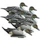 Higdon Battleship Pintail Foam Filled Drake Decoys 6 Pack