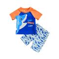 DcoolMoogl Kids Baby Boys 2 Piece Swimsuits Rash Guard Swimwear Short Sleeve Shark Print Tops Rash Guard Shorts Set Blue 2-3 Years