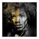 Jimi, Small artwork by Anthony Freeman, free delivery