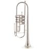 Peter Oberrauch Venezia Trumpet Bb 11, B-Stock