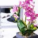 Primrue Pink Faux Orchid In Rustic Gray Cement Pot, Fiberglass in Indigo/Pink | 19.3 H x 14.2 W x 7.5 D in | Wayfair