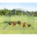 Tucker Murphy Pet™ Darrisha Chicken Coop Metal | 77.9 H x 150.01 W x 110.2 D in | Wayfair EB446FEBB8D046EA81CF1D8DB261E692