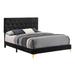 Lif Platform California King Size Bed, Tufted Headboard, Gold, Black Velvet