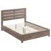 Coaster Furniture Brantford Storage Bed Barrel Oak And Coastal White