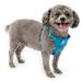 Kurgo Tru-Fit Smart Harness Dog Harness Pet Walking Harness Quick Release Buckles Front D-Ring for No Pull Training Includes Dog Seat Belt Tether (Blue X-Small)