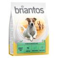 Briantos Adult Mini agneau, riz pour chien - 1 kg