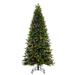 The Holiday Aisle® 6.5' x 42" Jackson Pine Artificial Pre-Lit Tree, Dura-Lit® Multi-Colored Mini Lights, Metal in Green | 21 D in | Wayfair