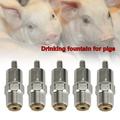 5Pcs Stainless Steel 1/2 NPT Automatic Pig Nipples Water Feeder Drinker Piglets