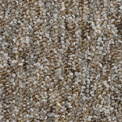 Teppichboden BODENMEISTER "Heilbronn, Schlinge - meliert, Made in Belgium", beige (beige braun), B:500cm H:7,2mm L:300cm, Polyamid, Teppiche, Wohnzimmer, Kinderzimmer, Schlafzimmer, Breite 200/300/400/500 cm Image