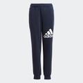 Sporthose ADIDAS SPORTSWEAR "ESSENTIALS REGULAR FIT BIG LOGO COTTON HOSE" Gr. 176, N-Gr, blau (legend ink, white) Kinder Hosen Jogginghosen