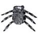 Black and Friday Deals 2023 Shldybc Pet Halloween Christmas Chest Back Creative Cat Dog Small Dog Spider Costume Dog Birthday Party Supplies Pet Clothes on Clearance